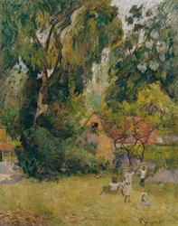 Huts under the Trees