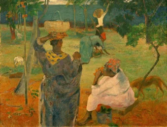 The Harvest of Fruits (or The Mangoes)