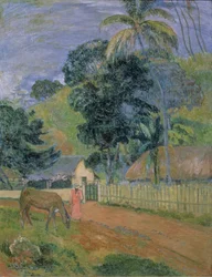 Landscape