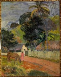Landscape