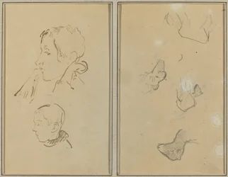Two Heads; Studies of Sheep