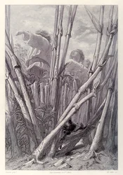 Gulliver Sees Farm Laborers as High as Steeples and Hides in a Wheat Field, from French Edition of Gulliver