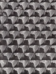 Surface of a shoemaker