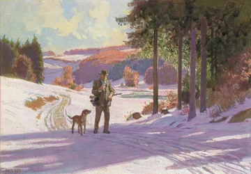 Christmas Morning in the Forest