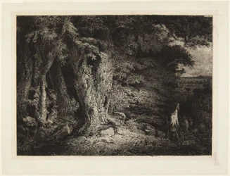 Entrance to the Forest, or The Thicket
