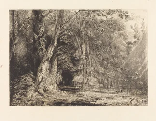 Flooding in the Forest of the Ile Séguin