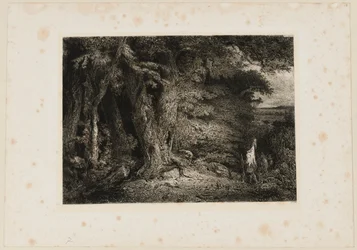 The Entrance to the Forest. Beraldi 74