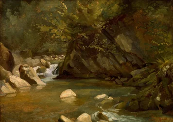 Woodland Stream