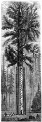 Yosemite National Park, California, 19th century.