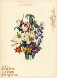 Bouquet of Lilies, Tulip, Fuchsia, Tiger Lily