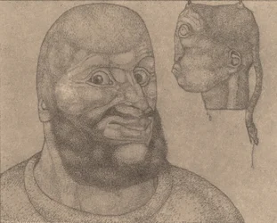 Perseus-The Triumph of Brain over Body