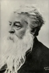 Portrait of Ernest Messonnier