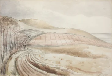 Dorset Landscape
