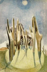 Wood on the Hill