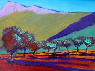 Olive Trees