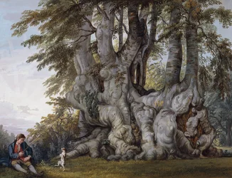 A Boy Making a Dog Dance by the Bole of an Ancient Gnarled Beech Tree