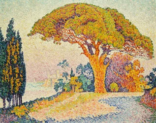 Pine Trees at Bertaud, Saint-Tropez
