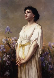 The Iris Beauty