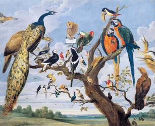 Concert of birds, by Paul de Vos