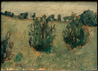 Landscape with Pines