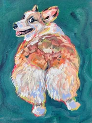 Vibrant Corgi Dog
