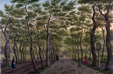 The Herepad in the Haagse Bos