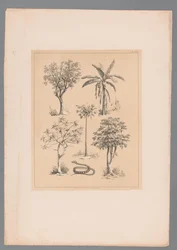 Five Types of Crops and a Snake