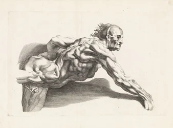 Anatomical Study of a Man Leaning Forward