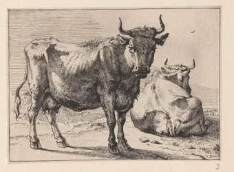 A Cow Standing and Another Lying Down, from Various Oxen and Cows