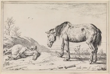 Worn-Out Horses