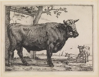 The Bull