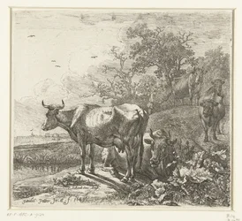 The Herdsman