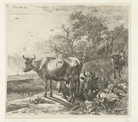 The Herdsman