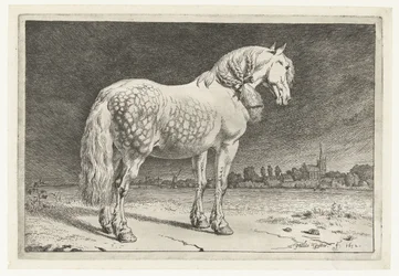 The Frisian Horse