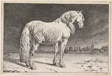 The Frisian Horse