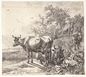 The Cowherd
