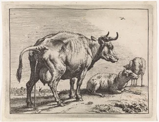 Pissing Cow
The Bull Book (series title)