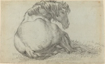 Resting Horse
