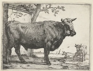 Bull (The Bull Book)