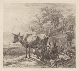 The Cowherd