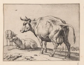 The Pissing Cow, from Various Oxen and Cows