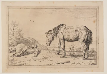 The Worn-Out Horse, from Series of Horses