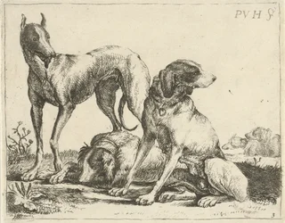 Three Dogs (Various Dogs)