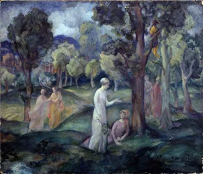 A Walk Through The Fields