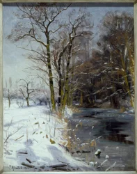 Sunny winter day