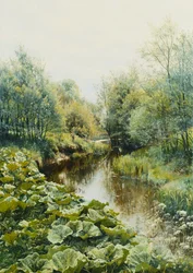 Summerday at the Stream