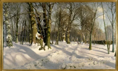 Snow-covered Winter Forest in Sunlight