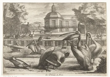 Pelicans (series: Birds from the Menagerie of Versailles)