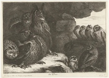 Owls in a Cave