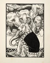 A Comedy of Quadrupeds